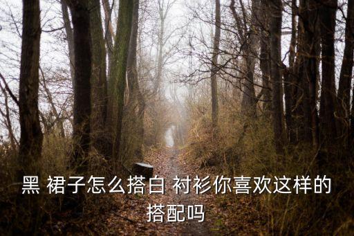 黑 裙子怎么搭白 衬衫你喜欢这样的搭配吗