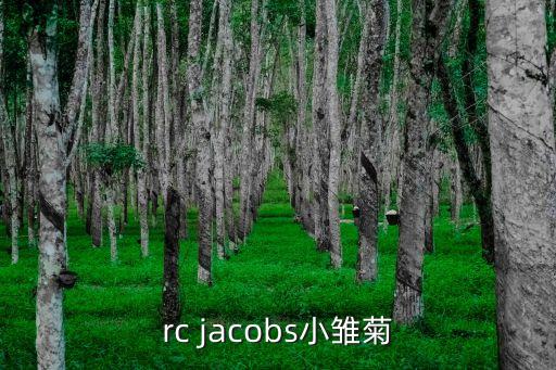 marc jacobs小雏菊