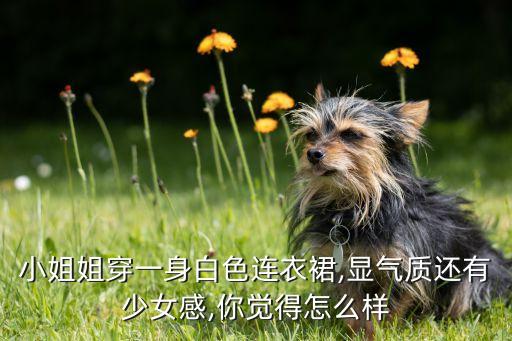 小姐姐穿一身白色连衣裙,显气质还有少女感,你觉得怎么样