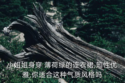 小姐姐身穿 薄荷绿的连衣裙,知性优雅,你适合这种气质风格吗