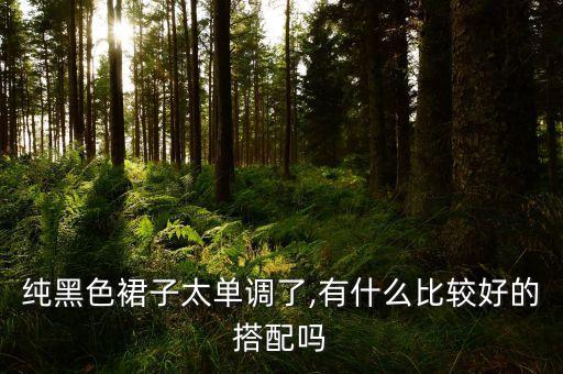 纯黑色裙子太单调了,有什么比较好的搭配吗
