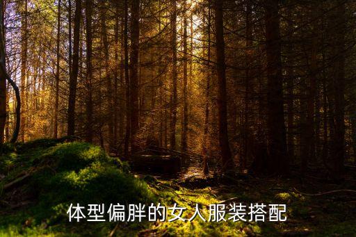 格尔木旅游穿搭裙子微胖