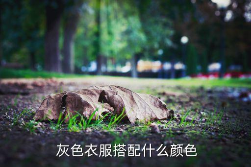 灰色裤子还是裙子好看