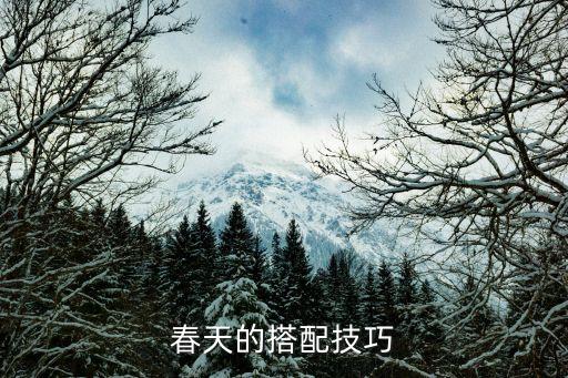 春天的搭配技巧