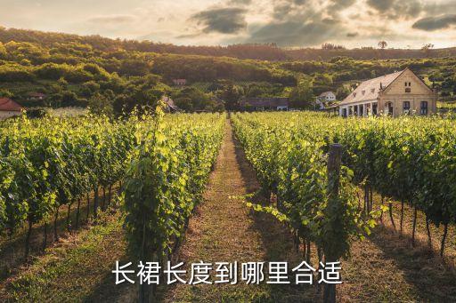 长裙长度到哪里合适