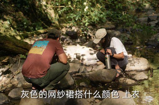  灰色的网纱裙搭什么颜色 上衣