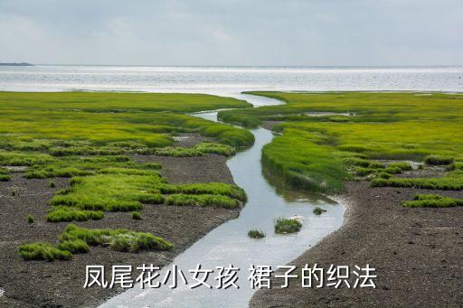 凤尾花小女孩 裙子的织法