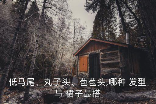 低马尾、丸子头、苞苞头,哪种 发型与 裙子最搭