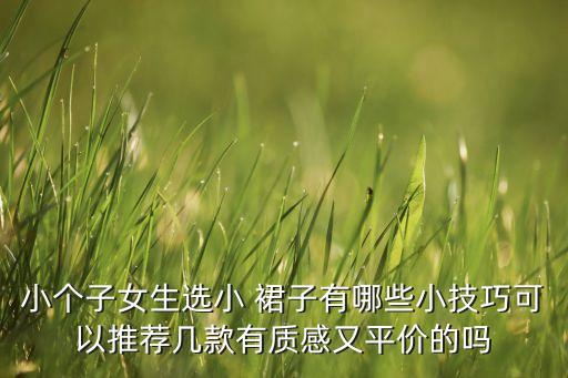 小个子女生选小 裙子有哪些小技巧可以推荐几款有质感又平价的吗