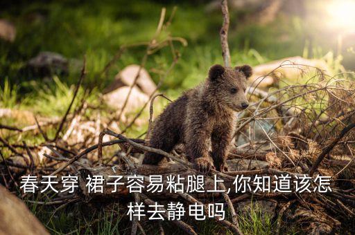 春天穿 裙子容易粘腿上,你知道该怎样去静电吗