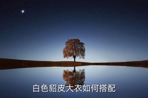 白色貂皮大衣如何搭配