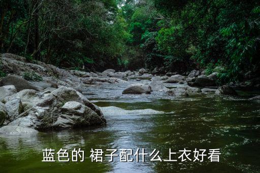 蓝色裙子搭配棕色,黑色裙子搭配棕色鞋子好看吗