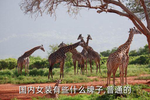 芭依璐和香影哪个牌子大