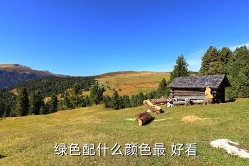 绿色配裙子还是裤子好看,绿色裙子配什么衣服好看