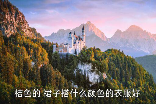 橘色裙子黑色西服搭配,橘色西服怎么搭配图片