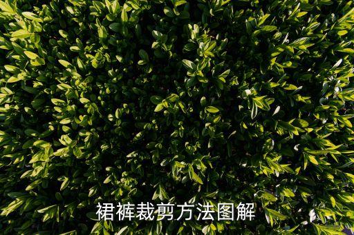 裙裤裁剪方法图解