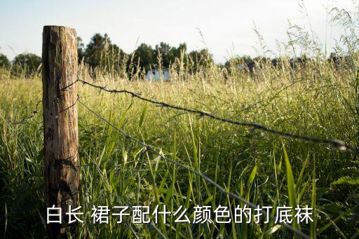白长 裙子配什么颜色的打底袜