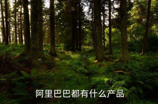  阿里巴巴都有什么产品
