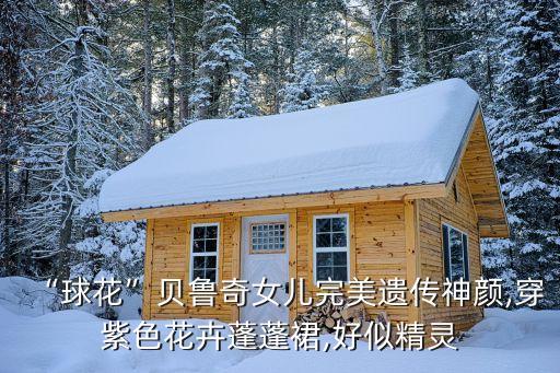 “球花”贝鲁奇女儿完美遗传神颜,穿紫色花卉蓬蓬裙,好似精灵
