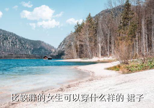 比较胖的女生可以穿什么样的 裙子