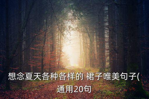 想念夏天各种各样的 裙子唯美句子(通用20句