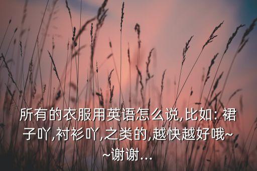 所有的衣服用英语怎么说,比如: 裙子吖,衬衫吖,之类的,越快越好哦~~谢谢...