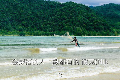 会穿搭的人一般都有的 耐克(Nike