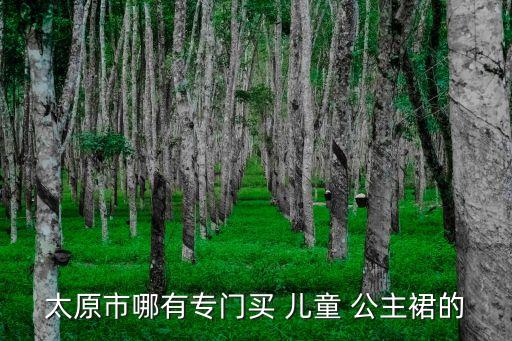 太原市哪有专门买 儿童 公主裙的