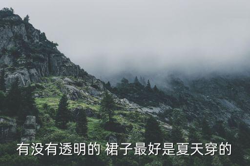 有没有透明的 裙子最好是夏天穿的
