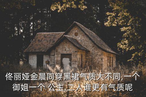 佟丽娅金晨同穿黑裙气质大不同,一个御姐一个 公主,二人谁更有气质呢