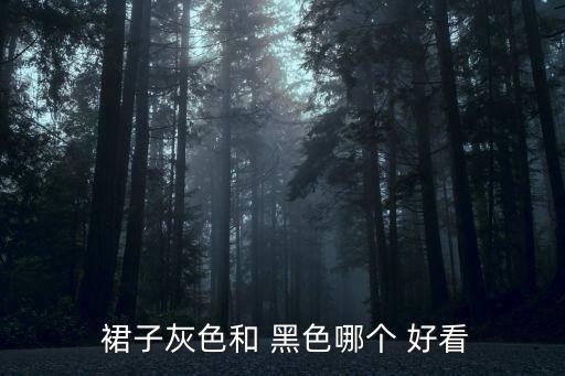  裙子灰色和 黑色哪个 好看