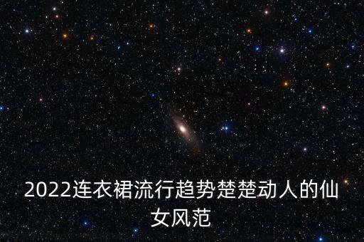 真丝透明光滑长裙
