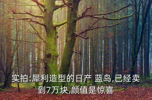 蓝鸟裙子怎么改造好看