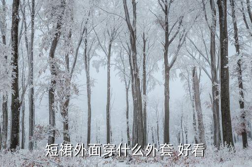 短裙外面穿什么外套 好看
