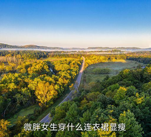 微胖女生穿什么连衣裙显瘦