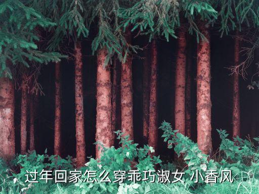 过年回家怎么穿乖巧淑女 小香风