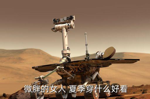  微胖的女人 夏季穿什么好看