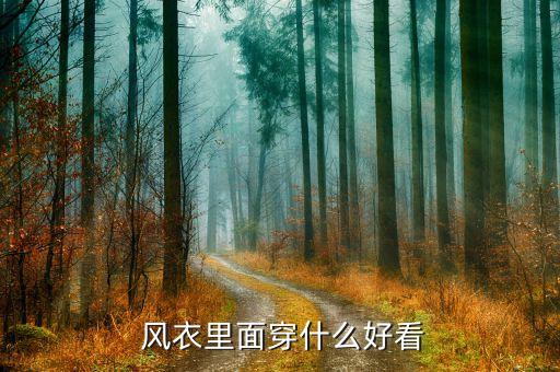  风衣里面穿什么好看