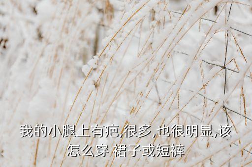 我的小腿上有疤,很多,也很明显,该怎么穿 裙子或短裤