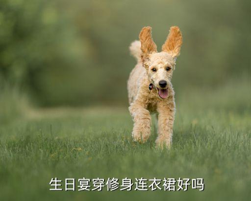  生日宴穿修身连衣裙好吗