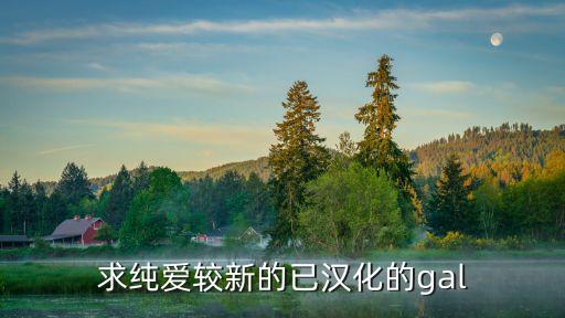 求纯爱较新的已汉化的gal