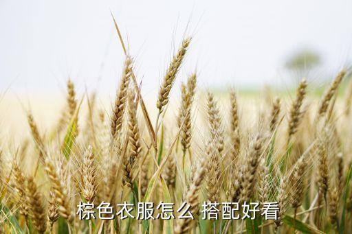  棕色衣服怎么 搭配好看