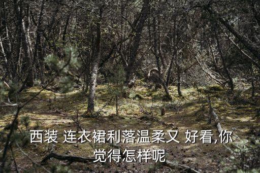  西装 连衣裙利落温柔又 好看,你觉得怎样呢