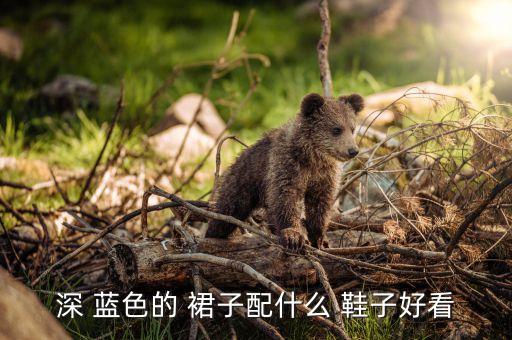 蓝色裙子黑色鞋子搭配,藏蓝色裙子搭配什么颜色鞋子好看