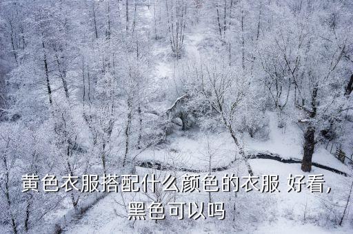 黄色衣服搭配什么颜色的衣服 好看,黑色可以吗