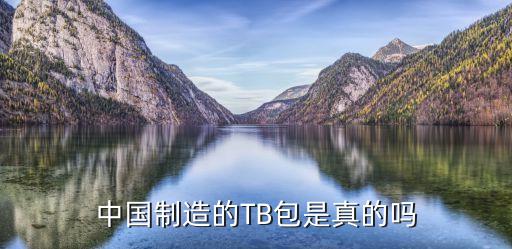 tb包搭配裙子,包臀裙子怎样搭配衣服