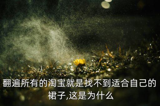 翻遍所有的淘宝就是找不到适合自己的 裙子,这是为什么