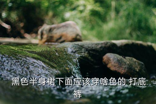  黑色半身裙下面应该穿啥色的 打底裤