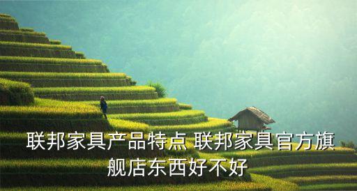  联邦家具产品特点 联邦家具官方旗舰店东西好不好