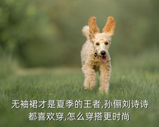  无袖裙才是夏季的王者,孙俪刘诗诗都喜欢穿,怎么穿搭更时尚